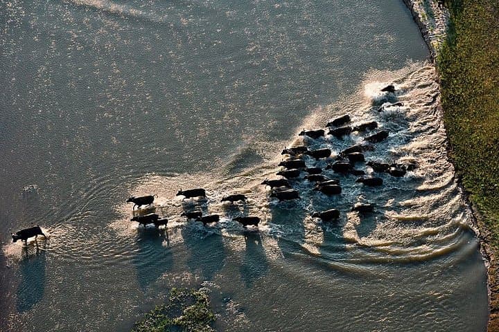3-Day Nyerere National Park Lodge Safari — Selous Wildlife Experience photo 4