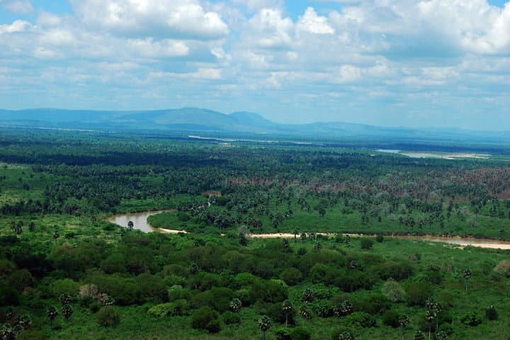 3-Day Nyerere National Park Lodge Safari — Selous Wildlife Experience photo 6