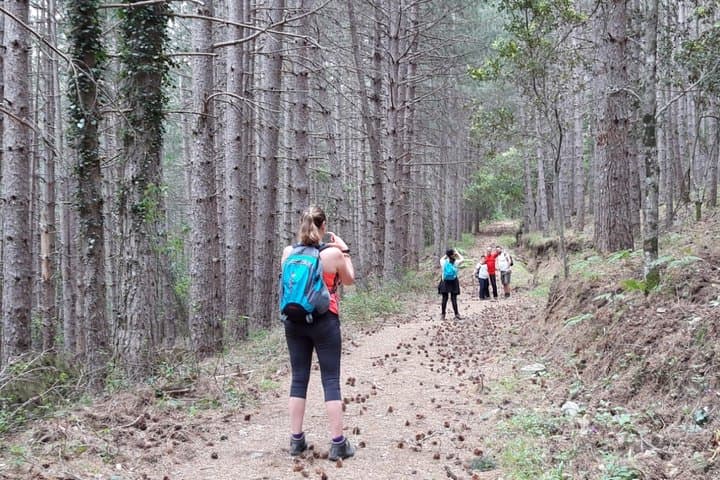 Shepherds' Tracks: 6km Forest Hike to Ogliastra Natural Springs photo 3