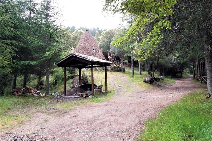 Shepherds' Tracks: 6km Forest Hike to Ogliastra Natural Springs photo 5
