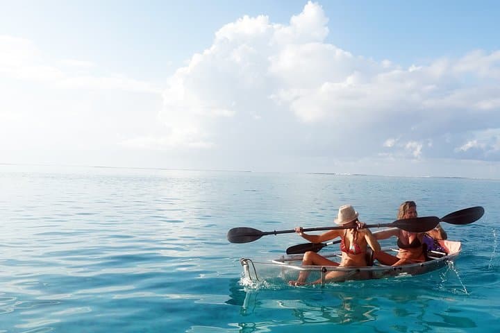 Transparent Kayak Moorea Lagoon Tour: See Sharks, Rays & Coral Gardens