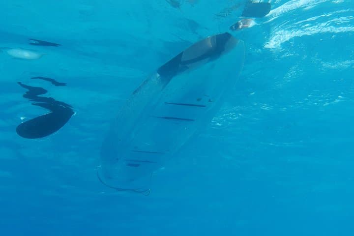 Transparent Kayak Moorea Lagoon Tour: See Sharks, Rays & Coral Gardens photo 3