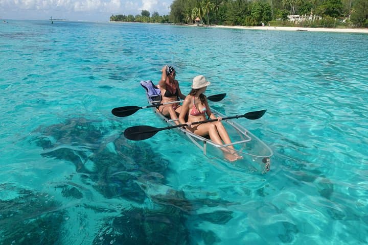Transparent Kayak Moorea Lagoon Tour: See Sharks, Rays & Coral Gardens photo 5