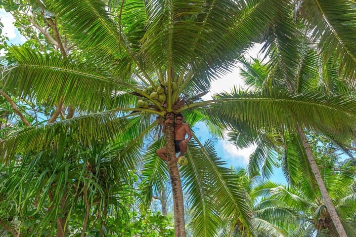 Muri Lagoon Half-Day Snorkel & BBQ Cruise — Glass-Bottom Boat Experience in Rarotonga photo 4