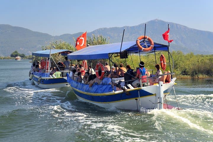Dalyan Mud Baths and Turtle Beach Day Tour from Fethiye — River Cruise, Mud Spa & Lycian Tombs