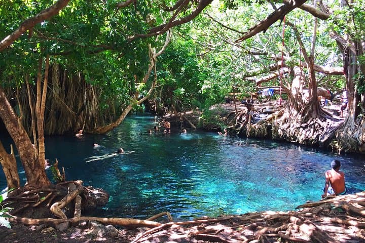 Kikuletwa (Chemka) Hot Springs Day Trip from Moshi photo 5