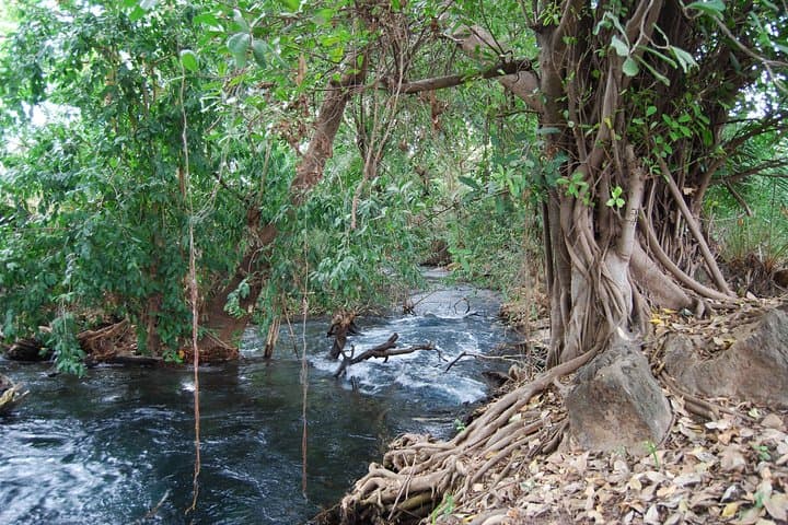 Kikuletwa (Chemka) Hot Springs Day Trip from Moshi photo 6
