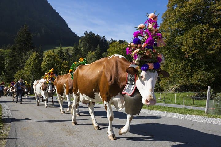 Cheesemaking and Mount Titlis Private Tour: Engelberg Day Trip from Zurich photo 2