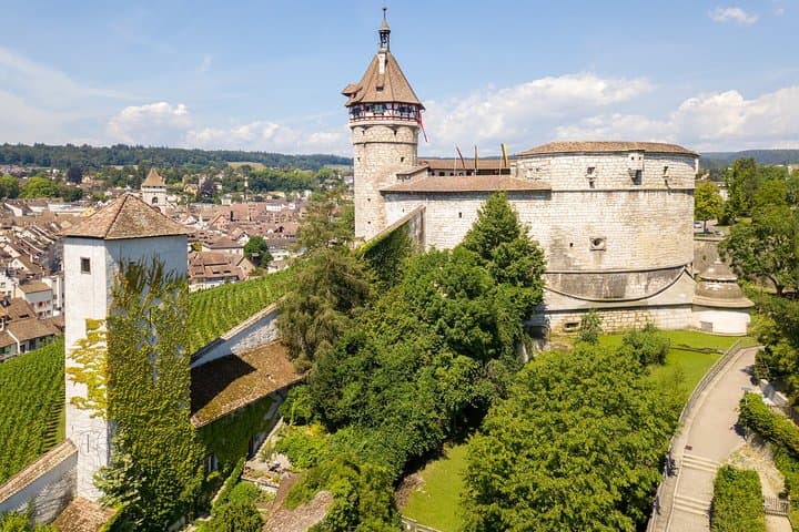 Northern Switzerland Full-Day Private Tour: Rhine Falls, Schaffhausen & Watchmaking photo 1