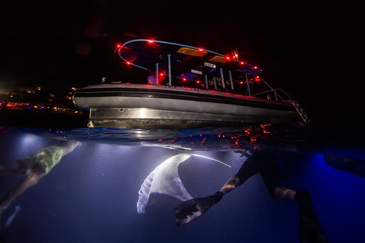 Night Manta Ray Snorkel Experience in Kona — Keauhou Bay Adventure photo 3