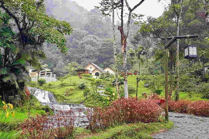 5-Day Traditional Coffee Zone: Cocora Valley, Salento & Thermal Pools photo 6