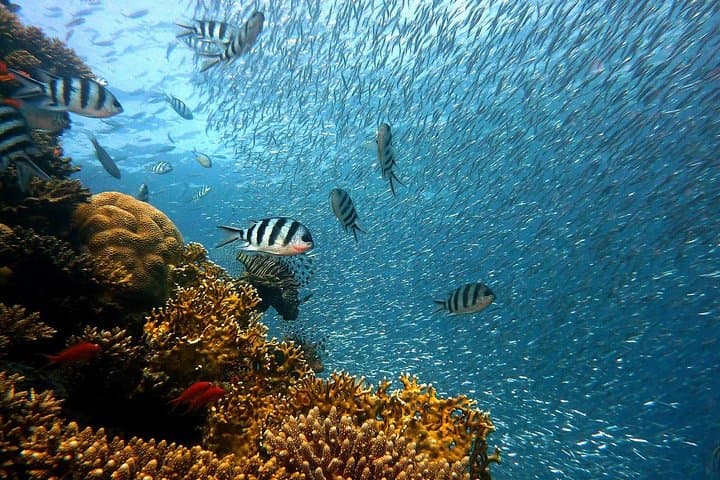 first-scuba-dive-in-malaga-diving-baptism