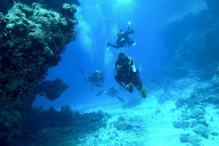 first-scuba-dive-in-malaga-diving-baptism photo 3