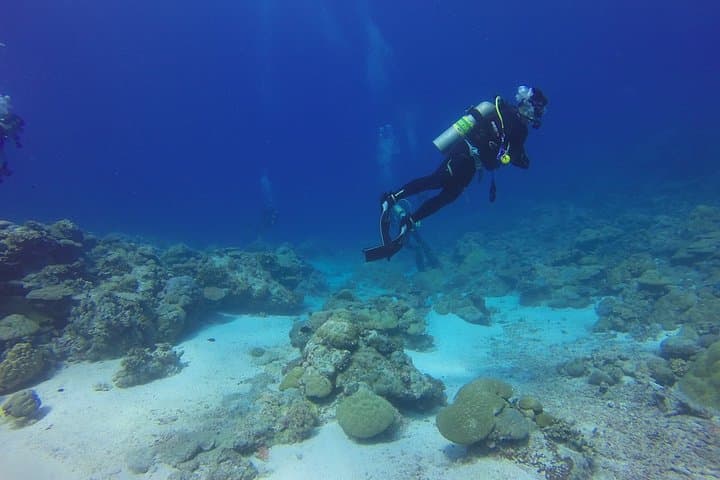 first-scuba-dive-in-malaga-diving-baptism photo 4