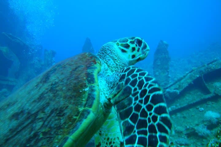first-scuba-dive-in-malaga-diving-baptism photo 6