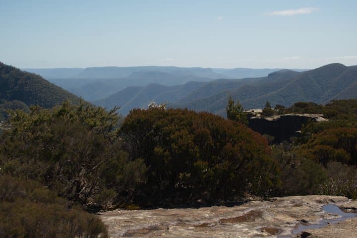 Explorers' Discovery Tour: NSW Goldfields, Mudgee Wine & Wollemi Wildlife