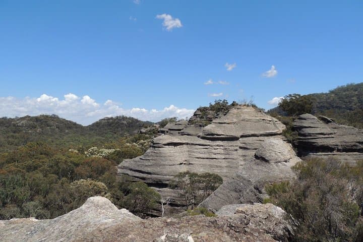 Explorers' Discovery Tour: NSW Goldfields, Mudgee Wine & Wollemi Wildlife photo 4