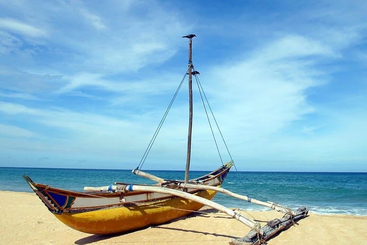 Sri Lanka Southern Coast Explorer — 8 Nights of Galle, Whale Watching & Stilt Fishing