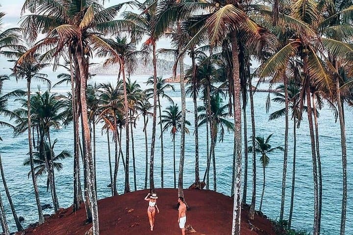 Sri Lanka Southern Coast Explorer — 8 Nights of Galle, Whale Watching & Stilt Fishing photo 2