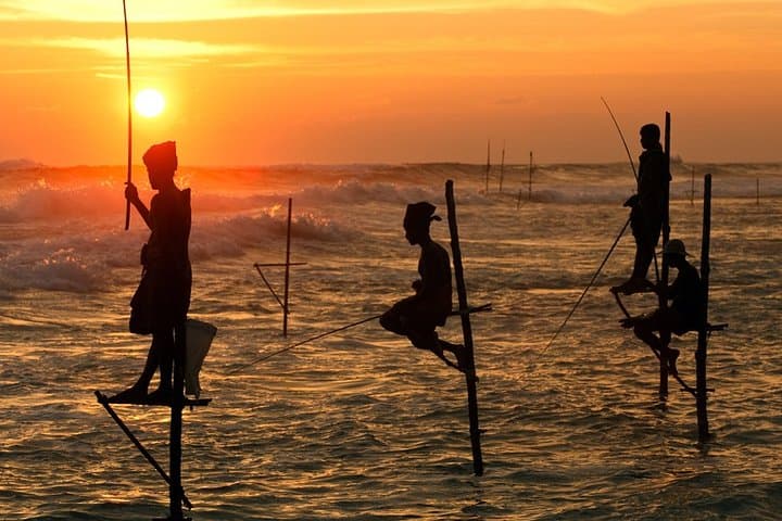 Sri Lanka Southern Coast Explorer — 8 Nights of Galle, Whale Watching & Stilt Fishing photo 4