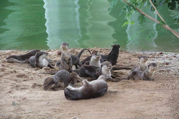 Cycle Singapore's Northeastern Greenways: Punggol to Pasir Ris Wildlife Ride photo 2