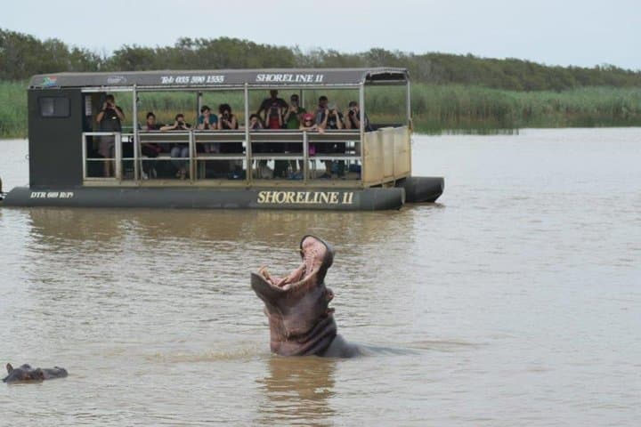 Isimangaliso-wetlands-cape-vidal-and-st-lucia-boat-cruise photo 3