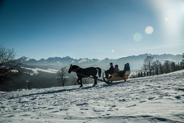 Horse-Drawn Sleigh & Zakopane Day Trip from Kraków: Winter Countryside Tour