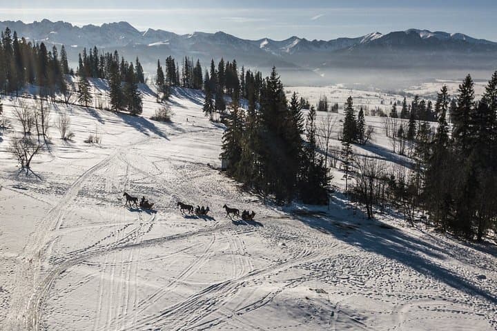 Horse-Drawn Sleigh & Zakopane Day Trip from Kraków: Winter Countryside Tour photo 2