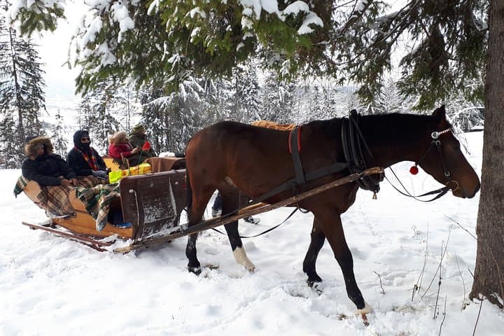 Horse-Drawn Sleigh & Zakopane Day Trip from Kraków: Winter Countryside Tour photo 3