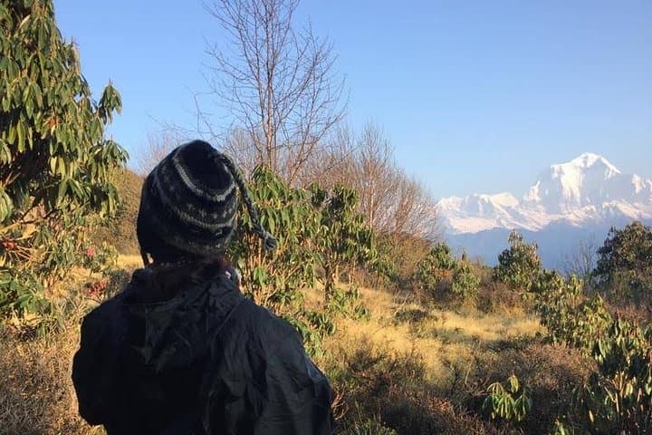 Sarangkot Sunrise Hike: Annapurna & Fewa Lake Views photo 3