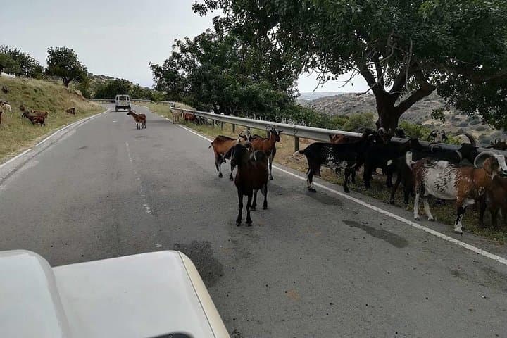 Jeep Safari Troodos: Kykkos Monastery, Hantara Waterfall & Venetian Bridge from Paphos photo 4
