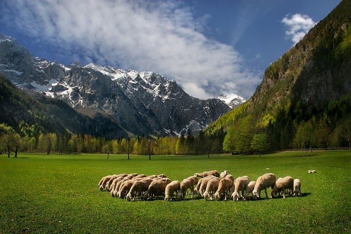 Logarska Valley Private Day Trip from Ljubljana: Rinka Waterfall, Savinja Rafting & Alpine Views