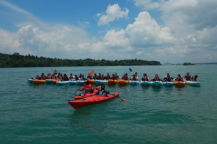 Round Ketam Kayaking Adventure: Pulau Ubin Coastal Paddle & Mangrove Wildlife photo 3
