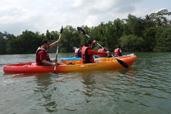 Round Ketam Kayaking Adventure: Pulau Ubin Coastal Paddle & Mangrove Wildlife photo 4