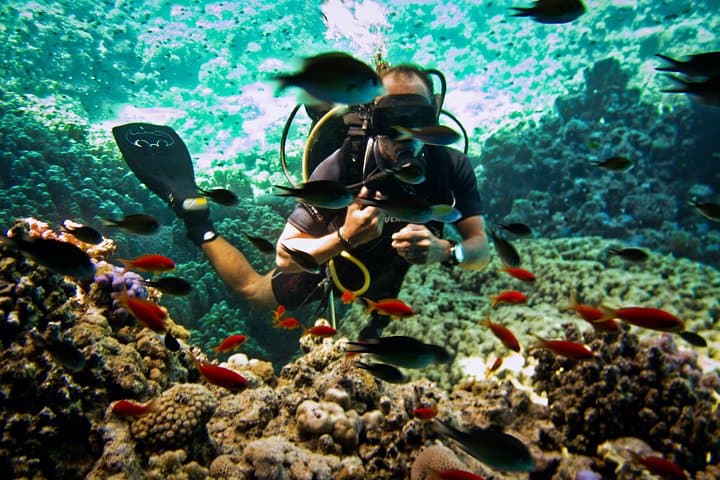PADI Open Water Course in Sharm El Sheikh — Learn to Dive the Red Sea photo 4