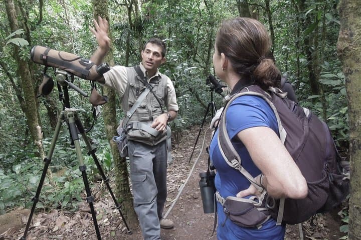 Private Monteverde Natural History Walk: Guided Cloud Forest Experience photo 5