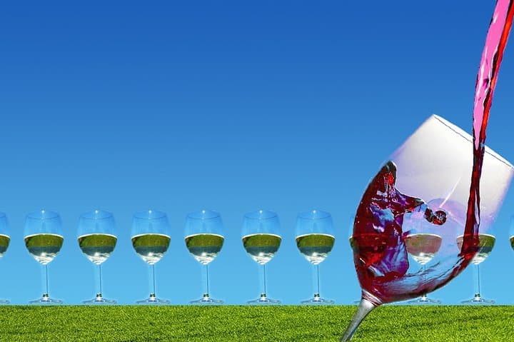 Private Napa Valley Wine Tasting Tour — Custom 6–10 Hour Small-Group Experience photo 3