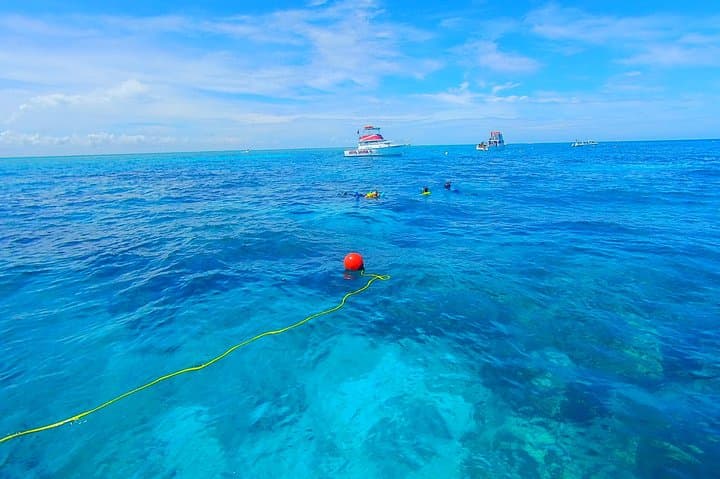 Explore the Vibrant Reefs of Key Largo on a Private Snorkel Tour