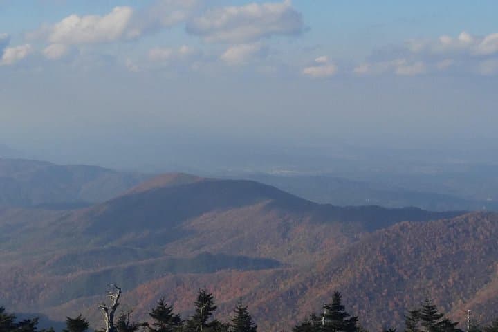 Smoky Mountains Local History Tour: Apple Barn to Foothills Parkway photo 4
