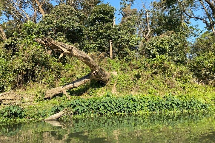 Chitwan National Park Safari: 1-Night, 2-Day Jeep, Birding & River Sunset photo 3