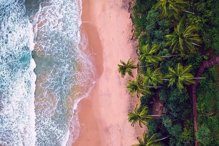 Paradise Sri Lanka: 11-Day Coastal, Cultural & Wildlife Circuit photo 4