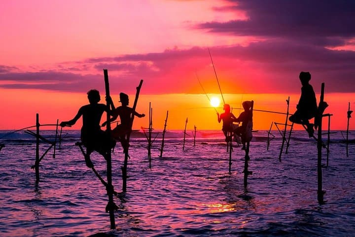 Sri Lanka Uncovered: 10-Day Cultural, Wildlife & Train Adventure photo 3