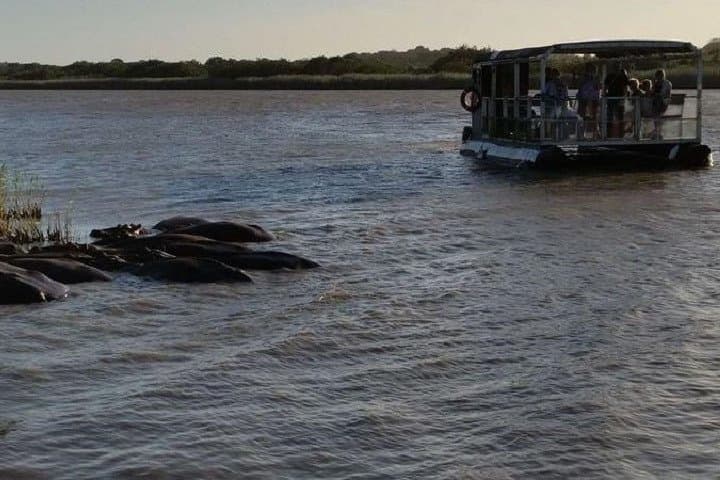 Isimangaliso-wetlands-cape-vidal-and-st-lucia-boat-cruise photo 4