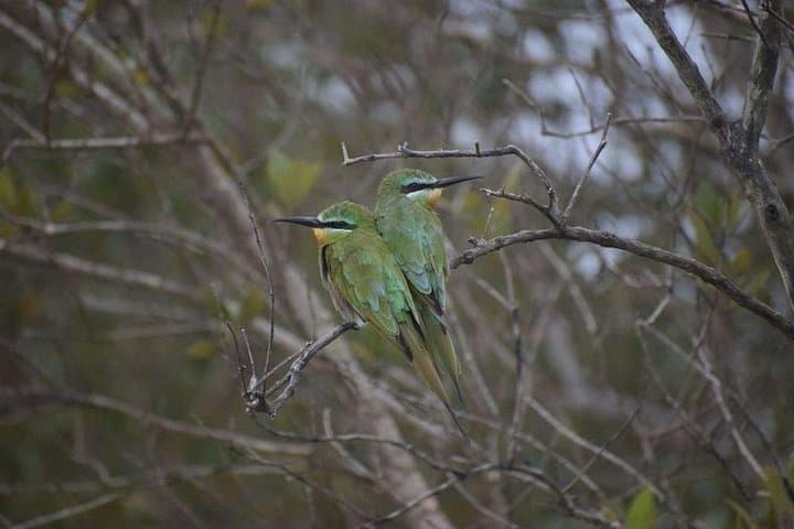 Isimangaliso-wetlands-cape-vidal-and-st-lucia-boat-cruise photo 5