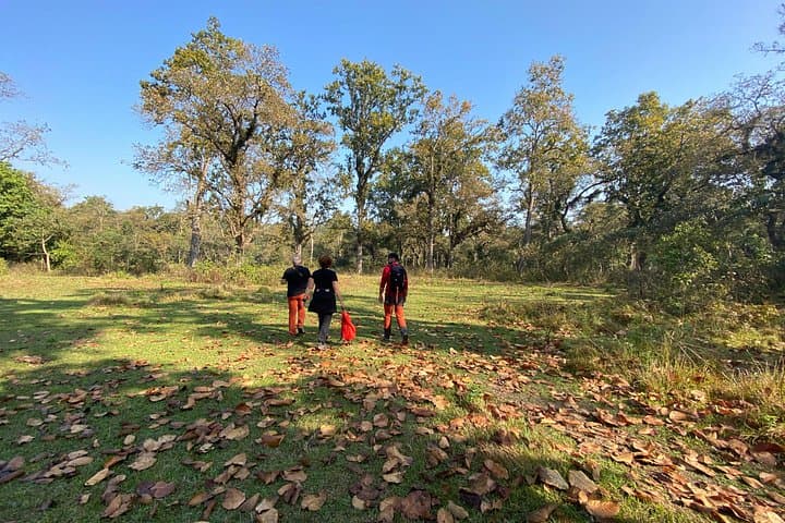 1-Night 2-Day Chitwan Jungle Safari — Jeep Safaris & Birdwatching from Kathmandu or Pokhara photo 3