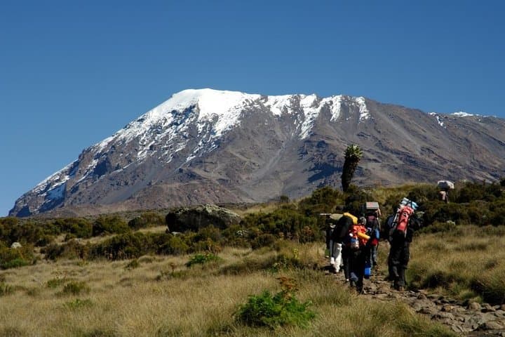 Mount Kilimanjaro 5-Day Marangu Route Trek: Huts, Summit & Practical Tips photo 6