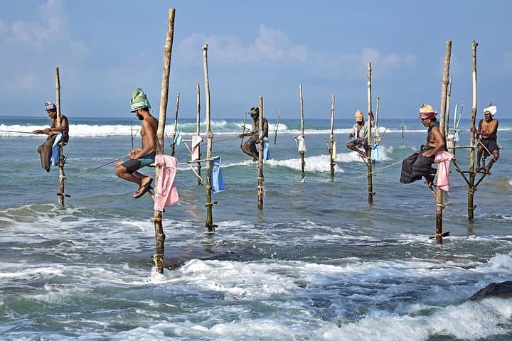 15-Day Sri Lanka Minivan Round Tour — Udawalawe Safari, Sigiriya, Tea Country & South Coast