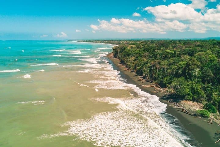 Deluxe 8-Day Nature Expedition: Corcovado & Osa Peninsula Wildlife