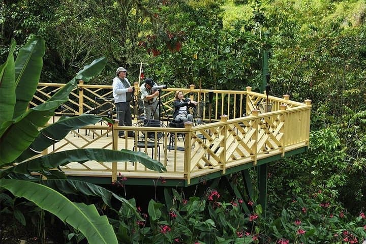Deluxe 8-Day Nature Expedition: Corcovado & Osa Peninsula Wildlife photo 4
