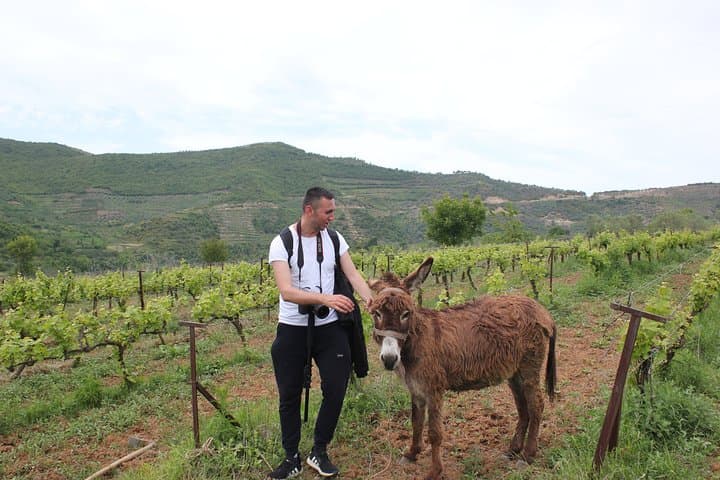 Albanian Highlights: UNESCO, Canyons, Riviera & Local Food
